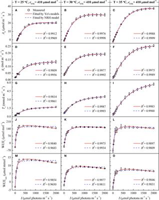 Simulating short-term light responses of photosynthesis and water use efficiency in sweet sorghum under varying temperature and CO2 conditions